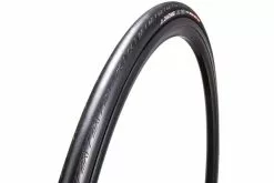 Cubierta Chaoyang Fly Fish