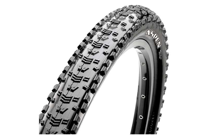 Cubierta Maxxis Aspen
